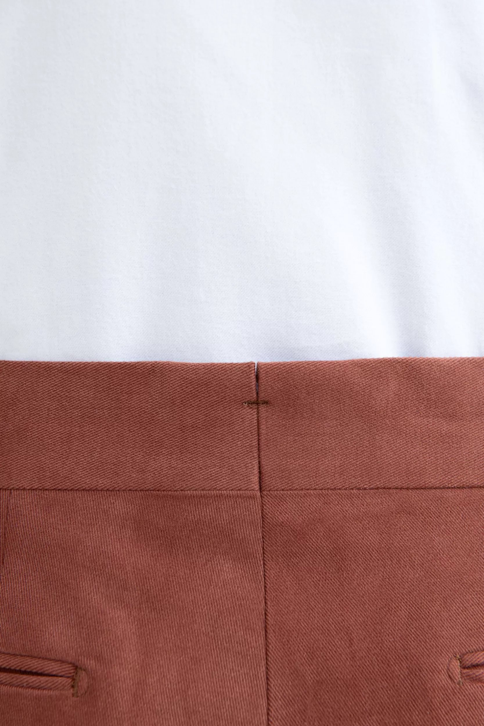 Shop Pini Parma Pantalone In Cotone " Soragna Capsule Collection" - Made In Italy Mattone